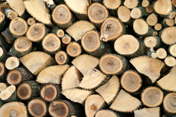 woodPile2