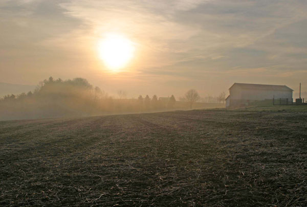 farmFog