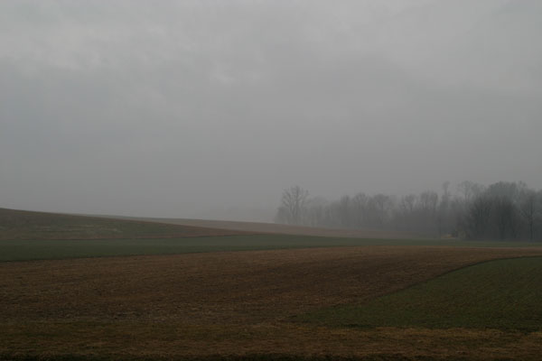 fieldFog