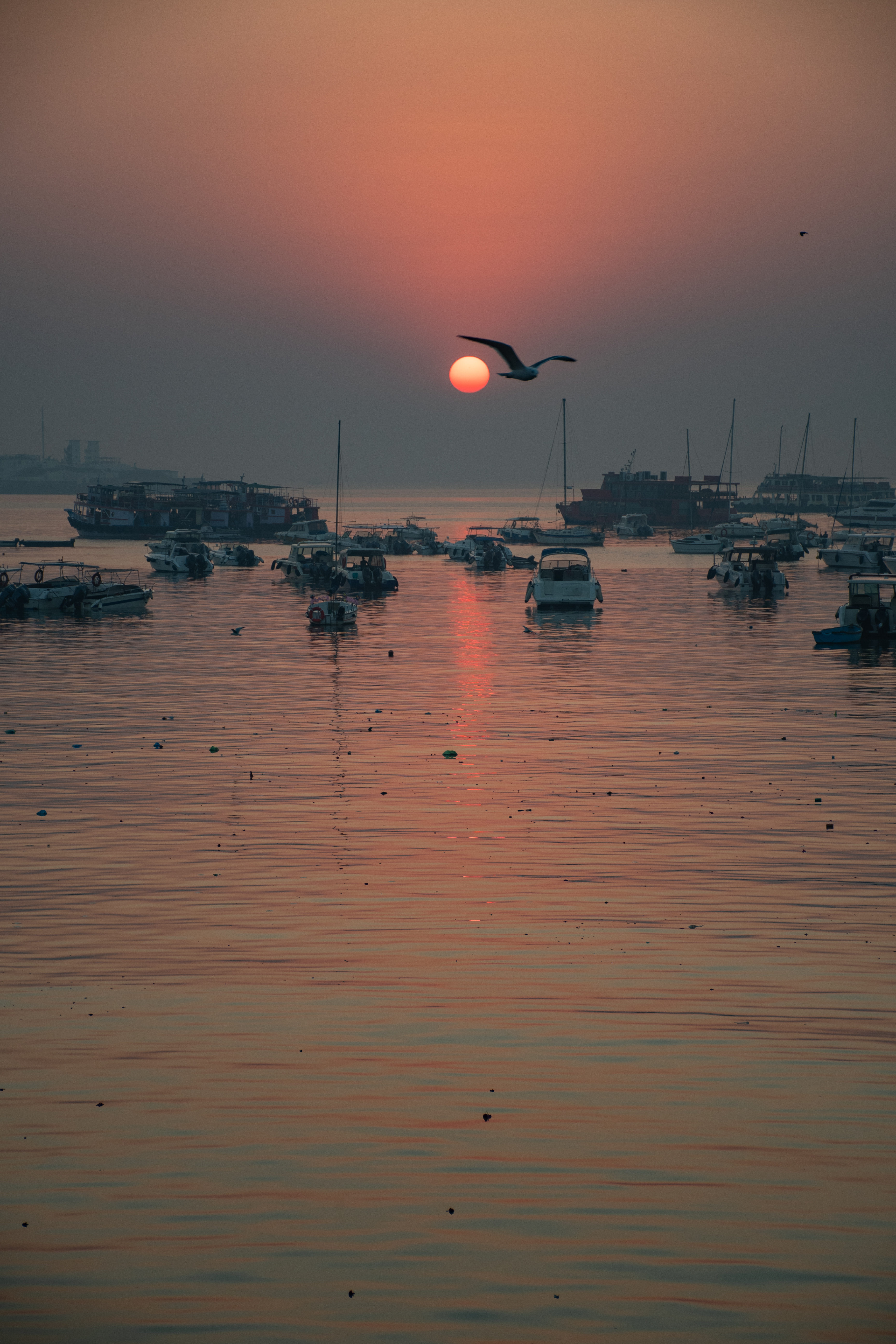 Mumbai harbor at sunrise — first image from Two Places at Once
